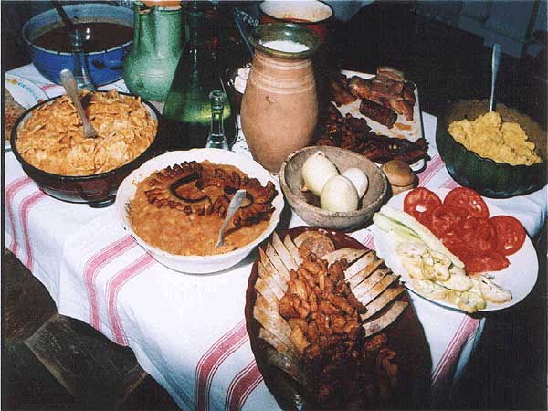 hrvatska tradicijska jela